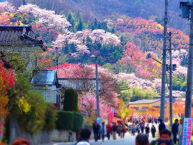 花見山