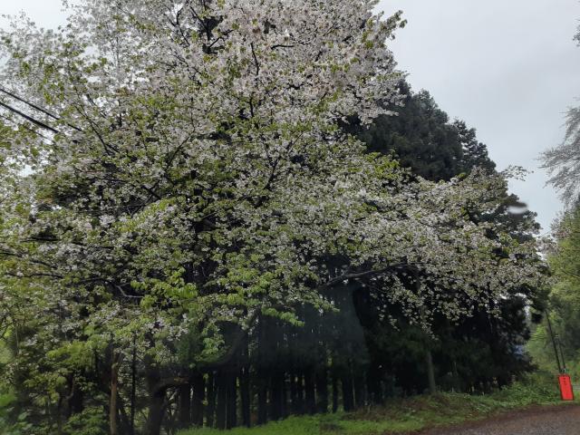 高湯山便り